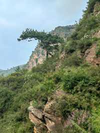北靈山爬不膩，北京小「阿勒泰」名不虛傳