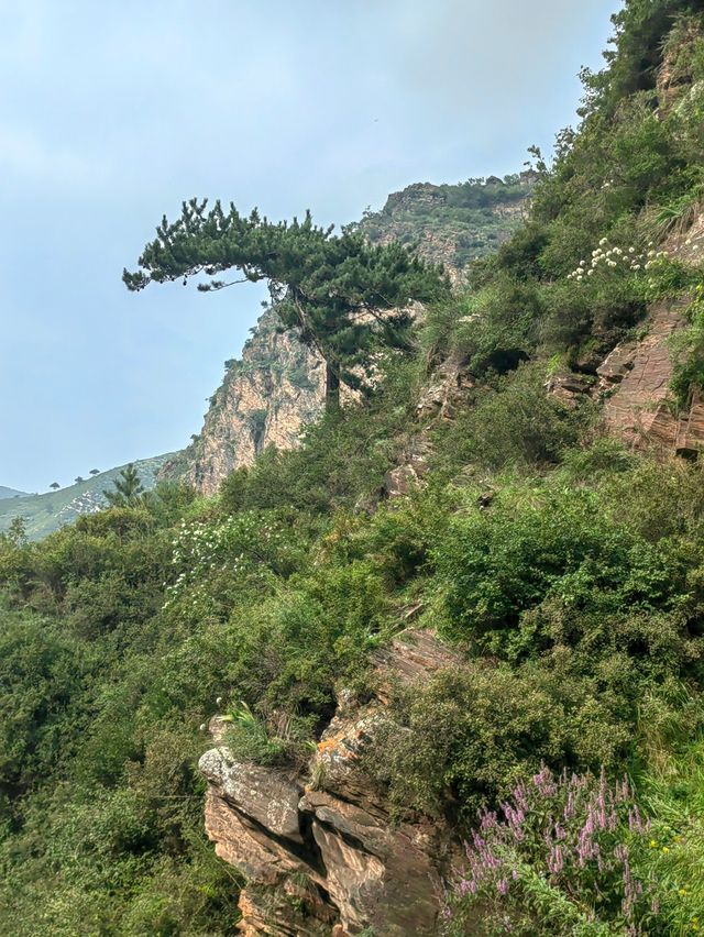 北靈山爬不膩，北京小「阿勒泰」名不虛傳