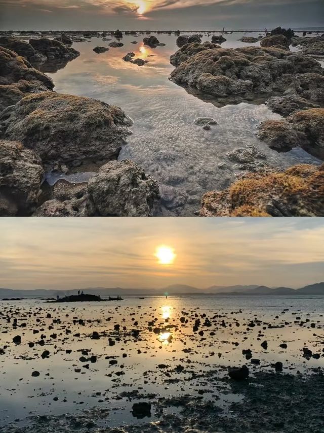 陵水赤岭赶海 | 爆桶秘籍在此，速来抄作业