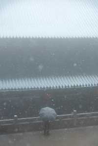25年第一場春雪，下到了徑山寺