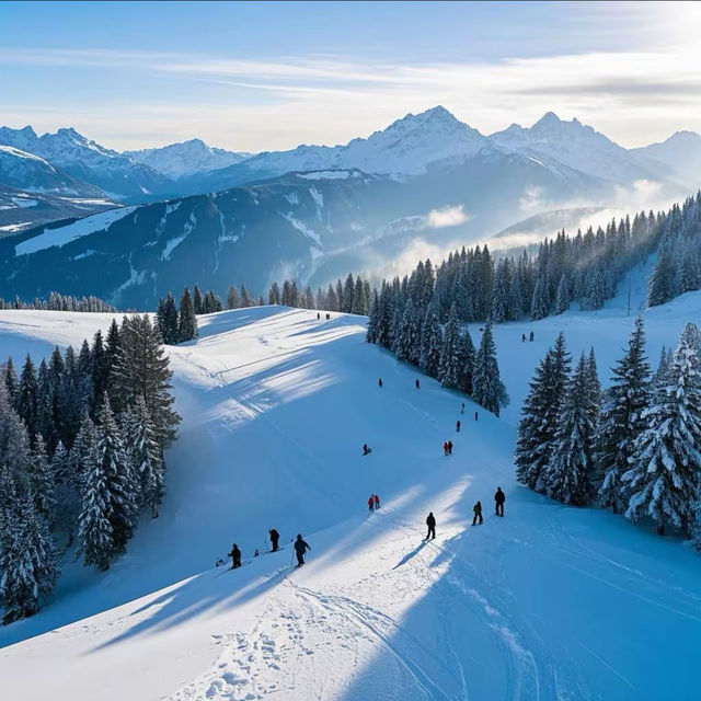 滑雪勝地古多里超詳細旅遊攻略來咯