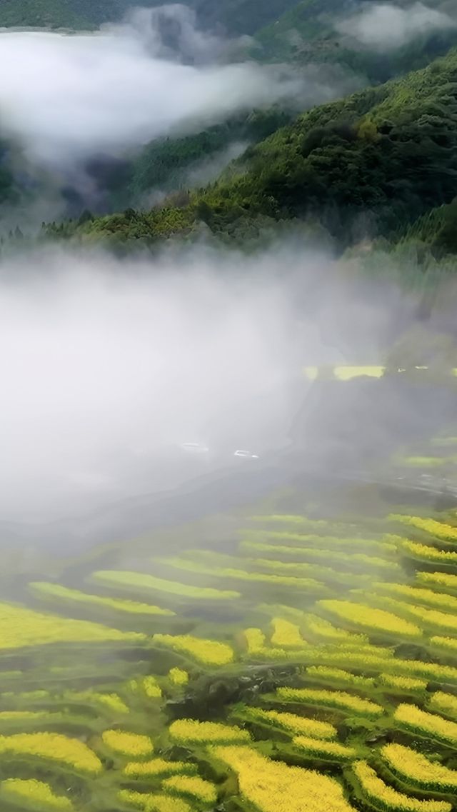 婺源之旅已結束，真心不建議前往