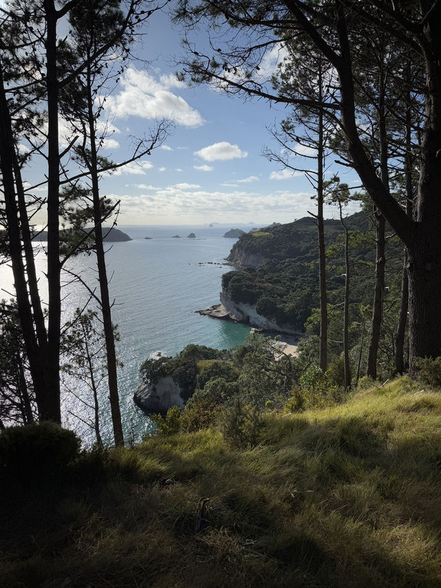 Welcoming The New Year At The Stunning Cathedral Cove