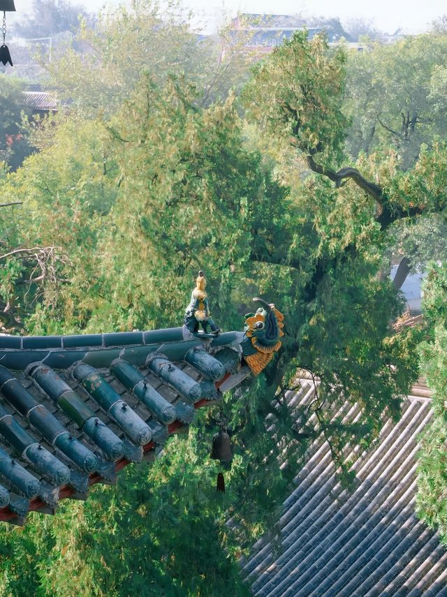 千年古蹟，忠義之旅的完美打卡地