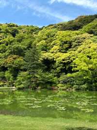 櫻花季來襲！一起去日本享受溫泉之旅吧