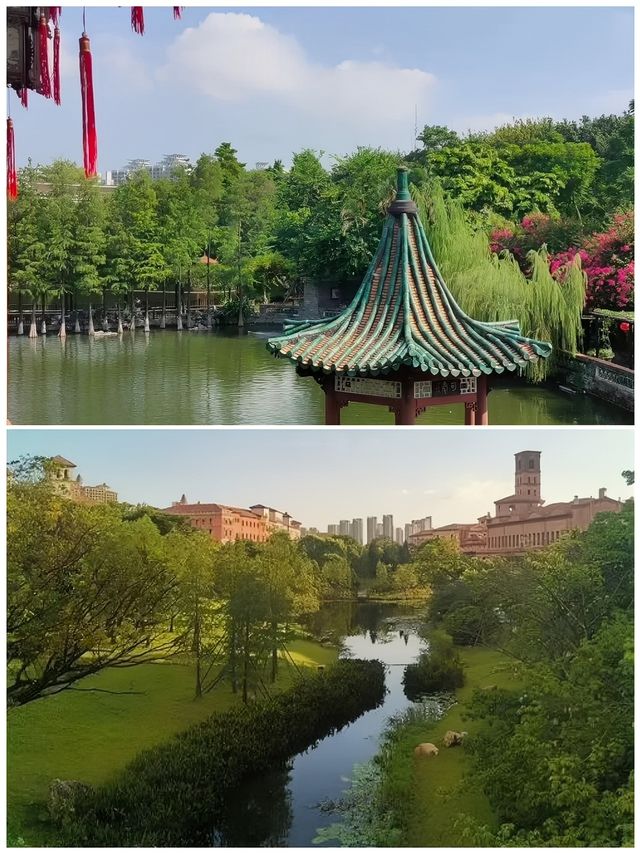 東莞受罪已回，要去的姊妹慎重！因為一首歌來到一座城