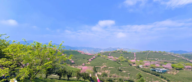 龍岩超全旅遊攻略，看完就出發！