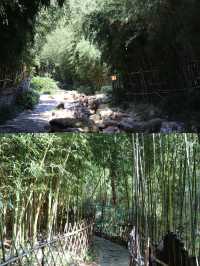 青島市區附近的小眾絕美遊山玩水推薦