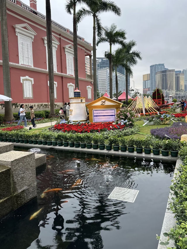 光影交織的歲月旅程
