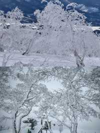 北海道滑雪，二世古絕對是你的不二之選