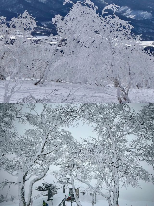北海道滑雪，二世古絕對是你的不二之選