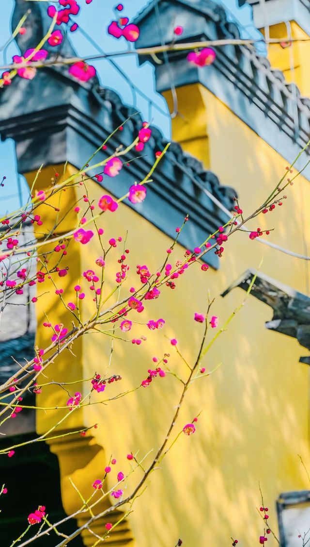 海鹽，天寧寺，