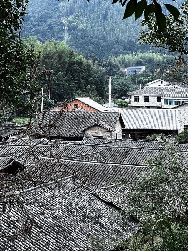 長沙-張家界-天門山長者遊玩超詳細指南