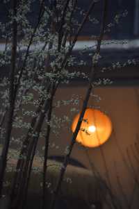 行安山古道住馬放瀾山