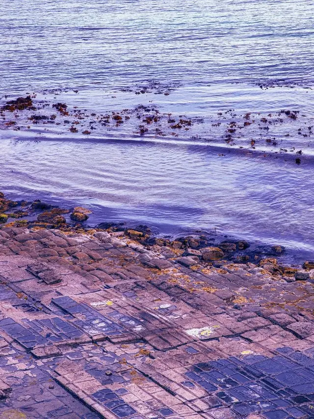 3日で満喫オーストラリア 一人当たりたったの3k