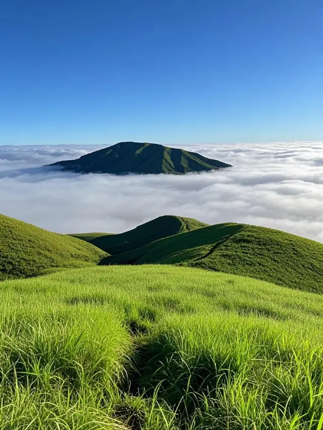 Wugong Mountain Pitfalls to Avoid! These 7 Mistakes Almost Sent Me Rolling Downhill
