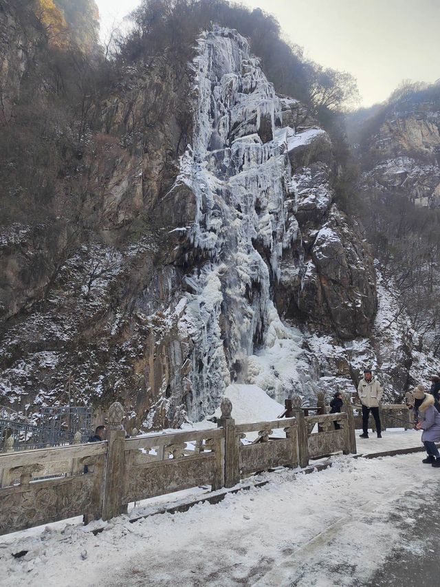 太白山國家森林公園詳細旅遊攻略來啦！