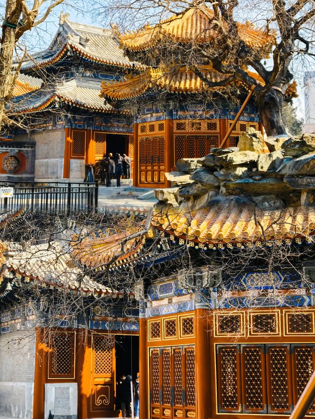 擁有 400 多年歷史的皇家古寺、祈求健康長壽最靈驗的寺廟