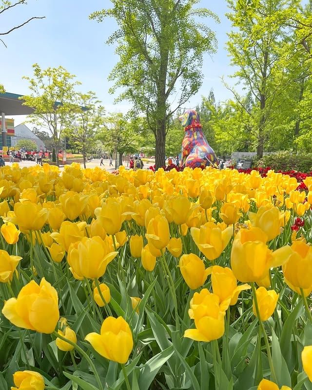 高陽花卉博覽會—夢幻花海，美到不真實！