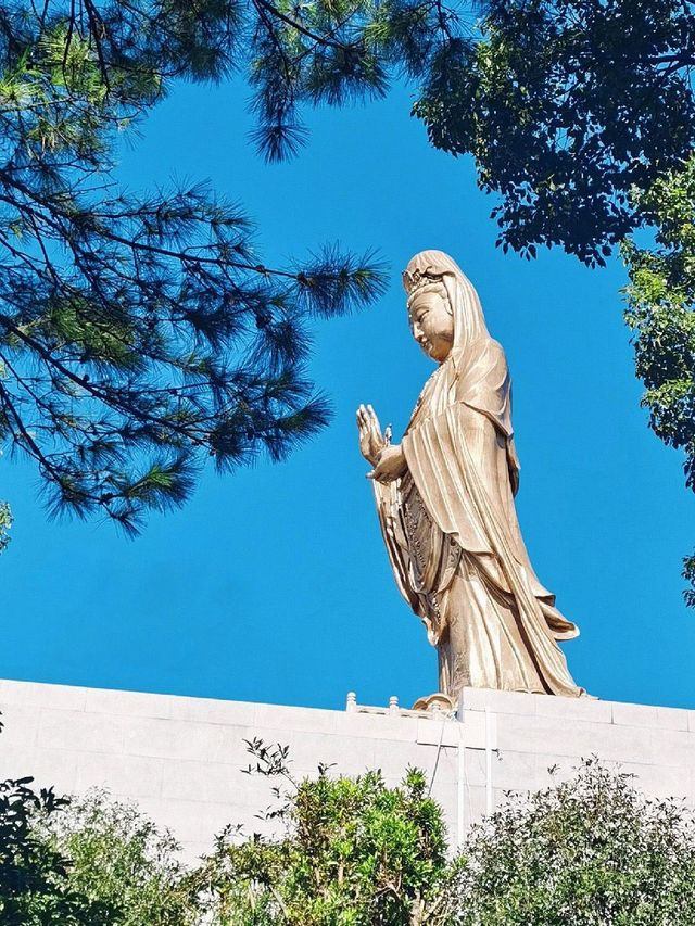小長假舟山2日遊 輕鬆玩轉不留遺憾