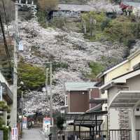 大阪出發紀三井寺 | 穿越千年的古寺之旅