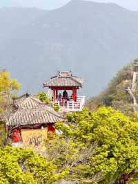 速衝，唔使逼！王屋山體驗超正