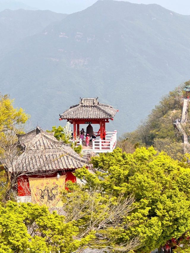 速衝，唔使逼！王屋山體驗超正