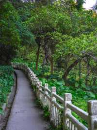 #尋蹤廣州潯峰山生態公園，邂逅自然之美