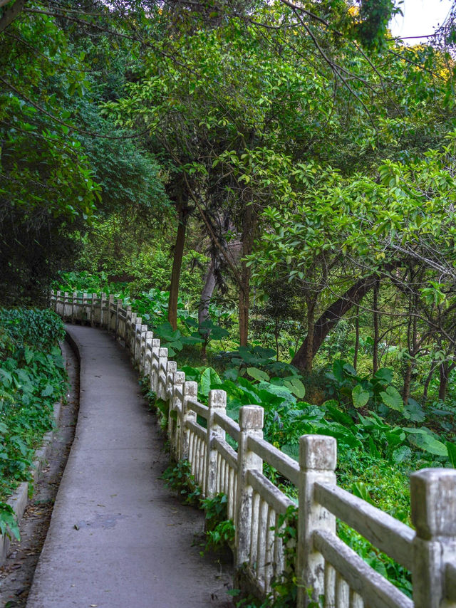 #尋蹤廣州潯峰山生態公園，邂逅自然之美