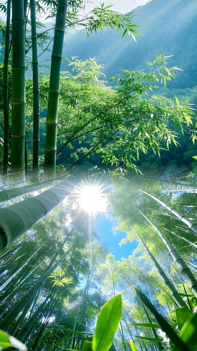 天啊！綠色的海洋！