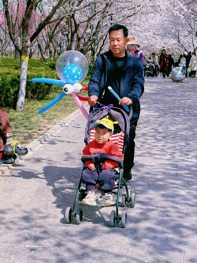 體驗一場4月的踏青賞櫻之旅！盡享春日的美好時