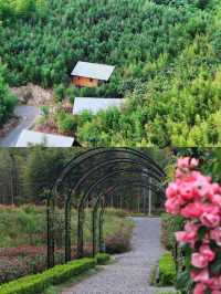莫干山度假營地——山林秘境裡的環湖木屋