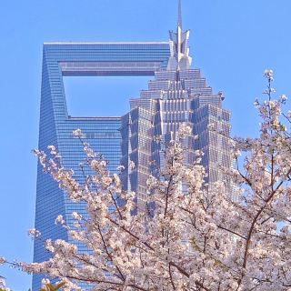 Giúp đỡ! Đây có còn là Lục Gia Chủy mà chúng ta thường nhớ không? !