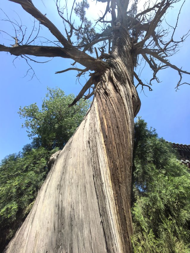 晉祠半日遊