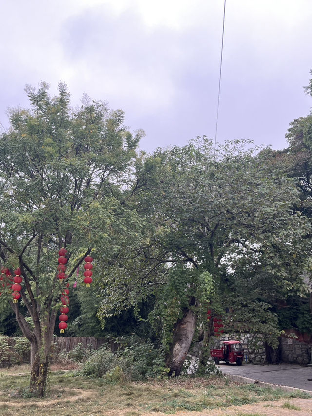 🏮穿越時光！懷化荊坪古村