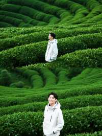 被《國家地理》遺漏的寶藏：復興村萬畝茶田雲端開花