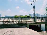 廣東省佛山市順德碼頭：龍舟碼頭。適合觀光旅遊、度假休閒等！