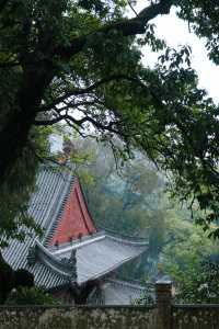 天台山國清寺｜住進禪意秘境，穿越千年的心靈療癒之旅