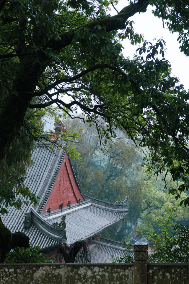 天台山國清寺｜住進禪意秘境，穿越千年的心靈療癒之旅