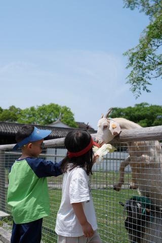30 minutes from Taizhou city center, take your kids to feed animals and play outdoors