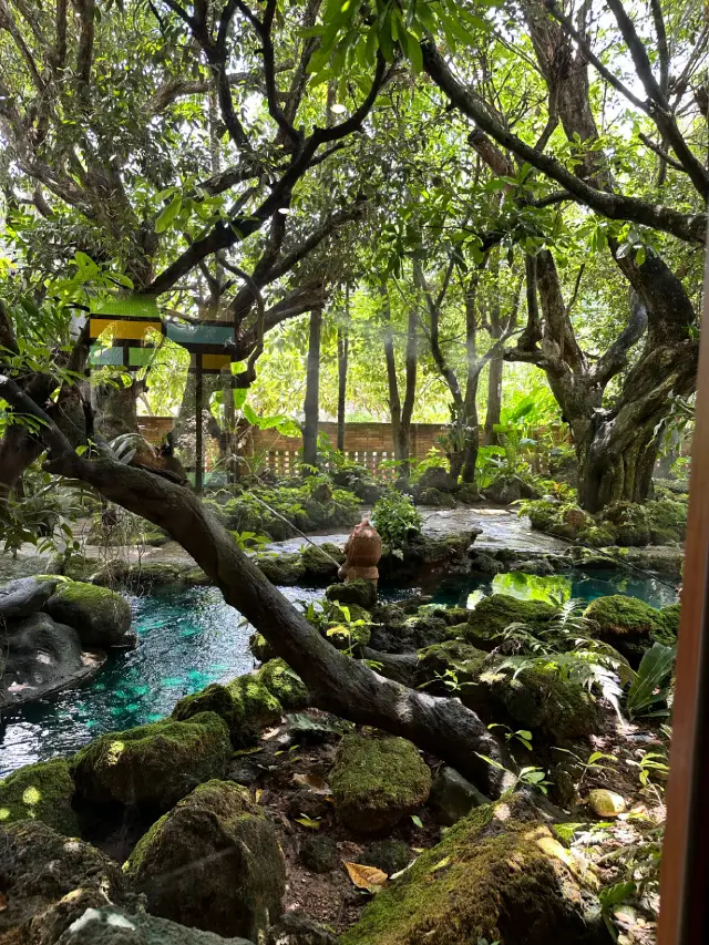 [Chiang Mai: Green, Slow, and Quiet]