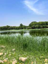 鄭州被嚴重低估嘅小眾公園！人少景靚