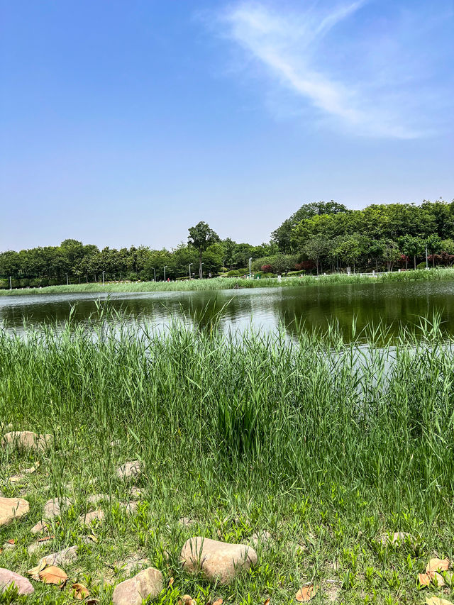 鄭州被嚴重低估嘅小眾公園！人少景靚