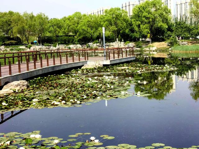 忻州雲中河景區