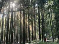 熟悉嘅地方冇風景 行出一步 全部係風景
