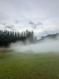 泰國Khao Yai Art Forest交通攻略｜探秘森林藝術秘境