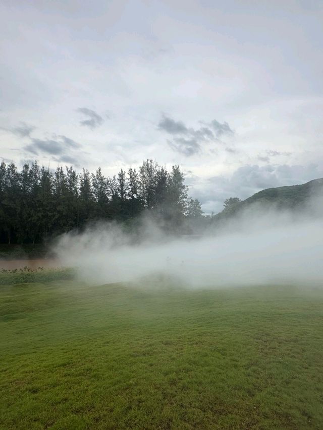 泰國Khao Yai Art Forest交通攻略｜探秘森林藝術秘境