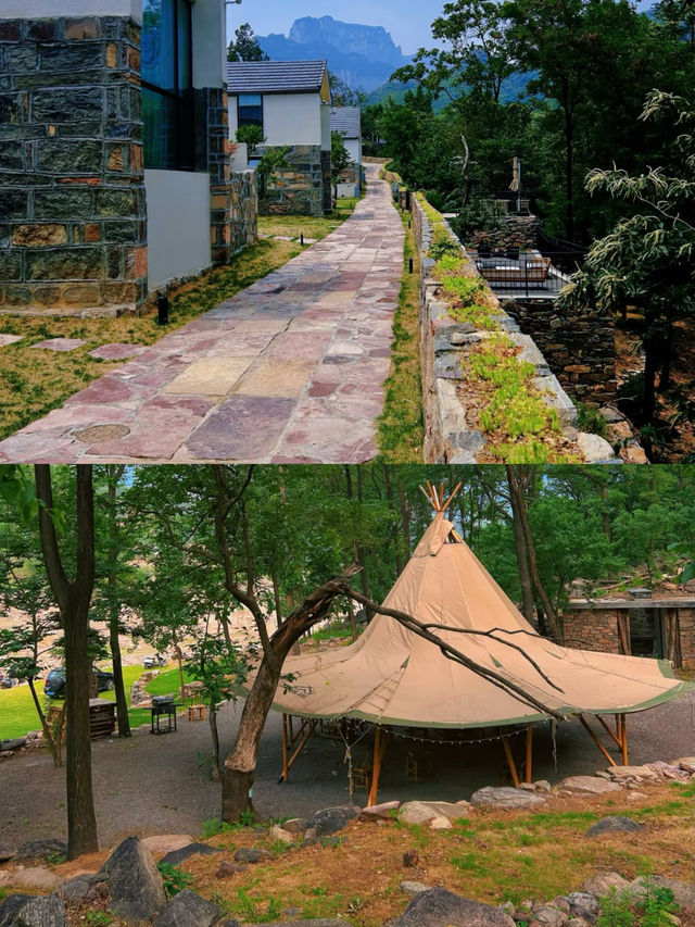 金谷湖畔｜飽覽江南水鄉園林風景