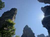 Magical 4 days in Zhangjiajie Park 