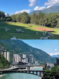 石棉歸來，我的建議係…